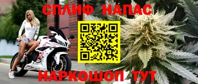тгк Нальчик
