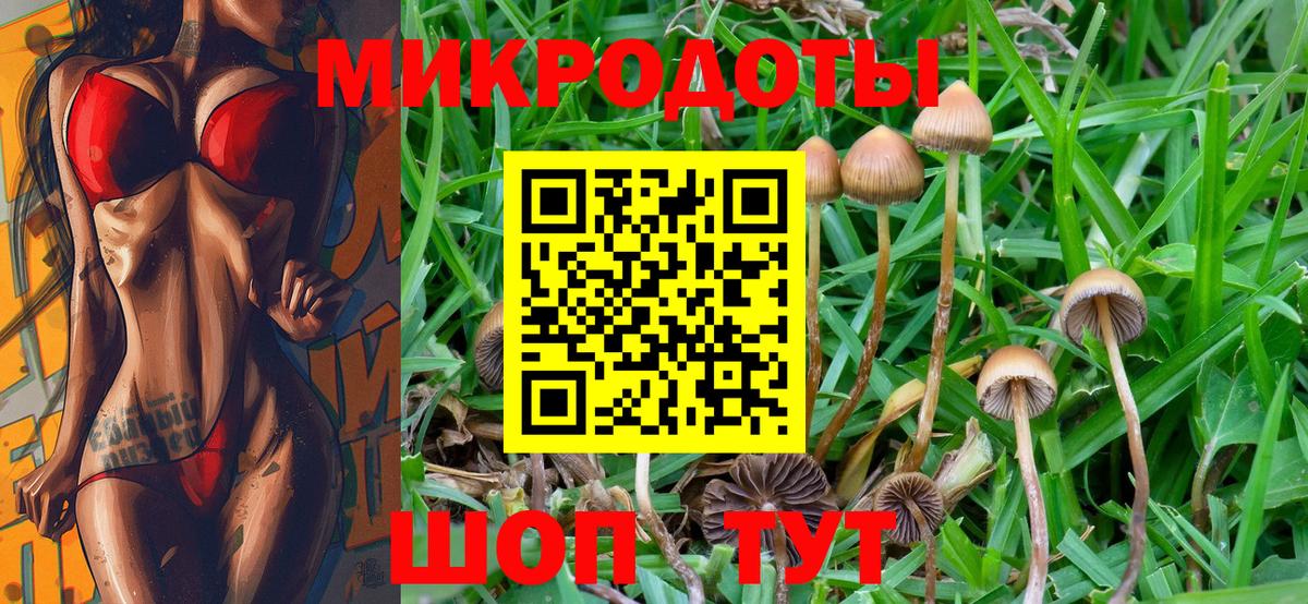 Псилоцибиновые грибы прущие грибы Пенза