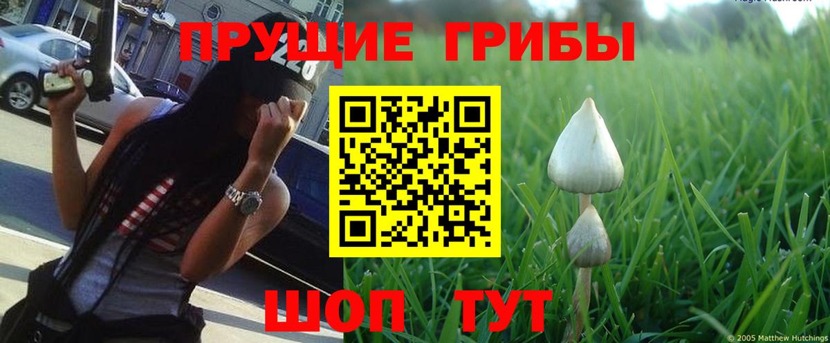 Псилоцибиновые грибы ЛСД  Вход с VPN  Галлюциногенные грибы Psilocybine cubensis  дарнет шоп  Пенза 